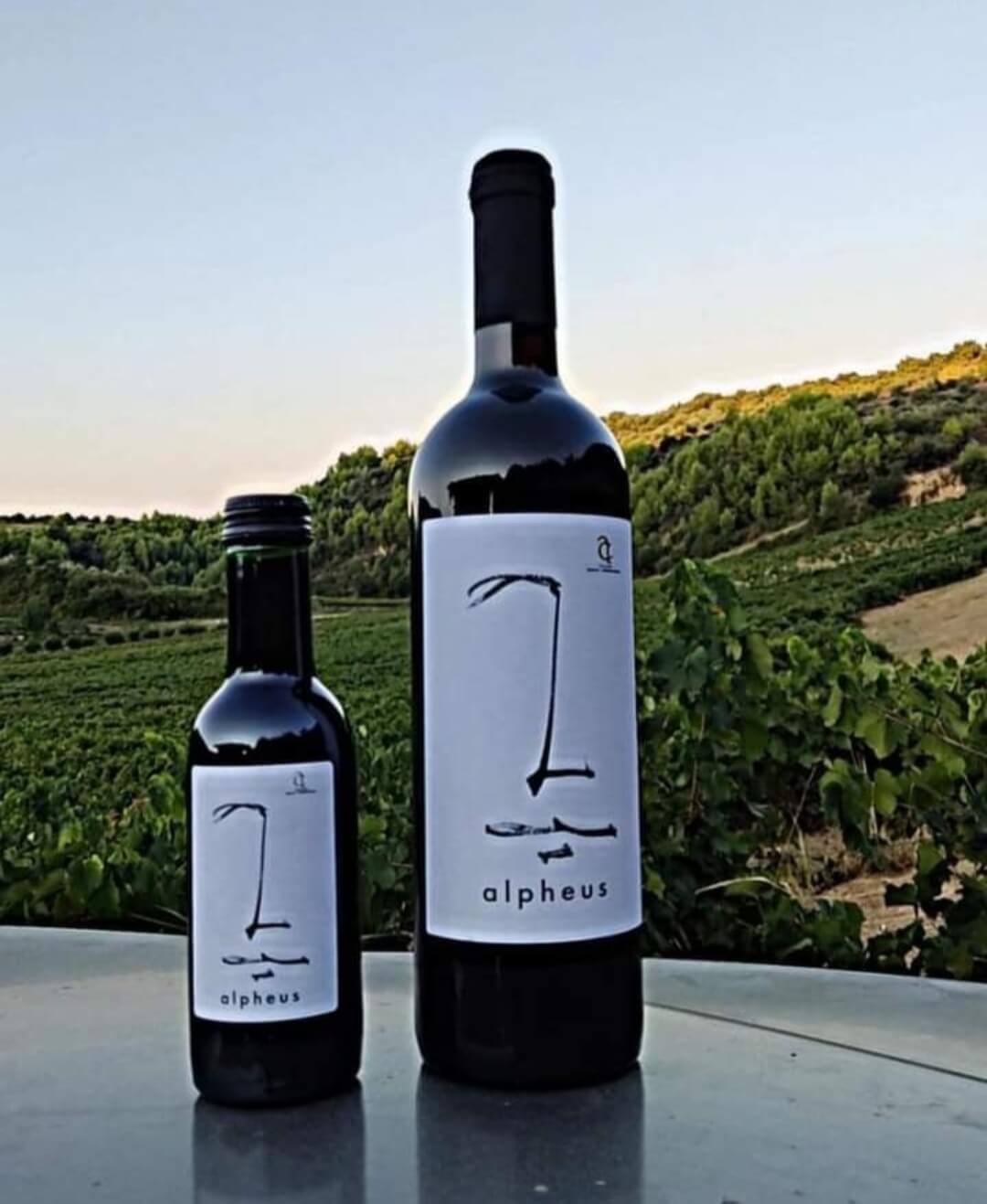 Οινοποιείο Ανδριοπούλου – Οινογνωσία