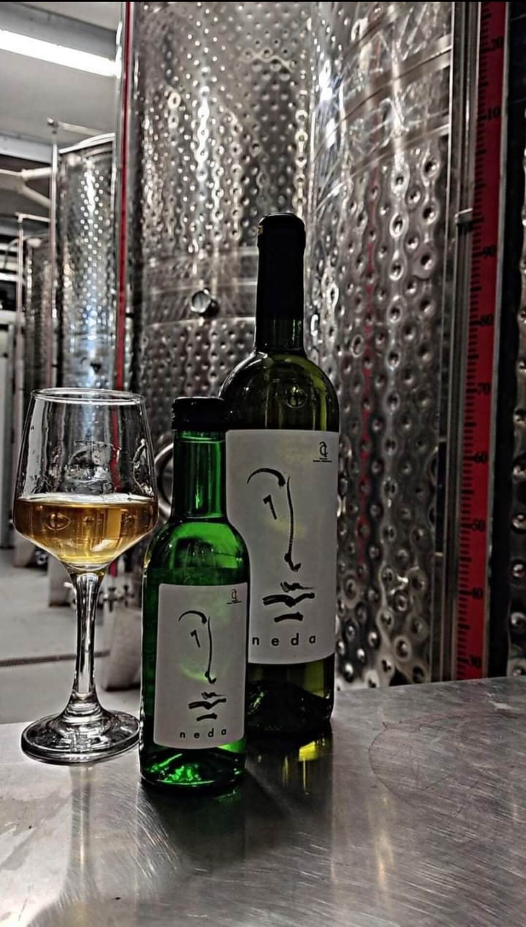 Επισκέψιμο Οινοποιείο Ανδριοπούλου