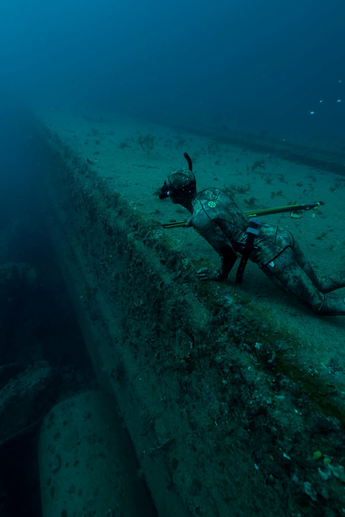 ΕΛΕΥΘΕΡΗ ΚΑΤΑΔΥΣΗ – Μόνο Έμπειροι Δύτες