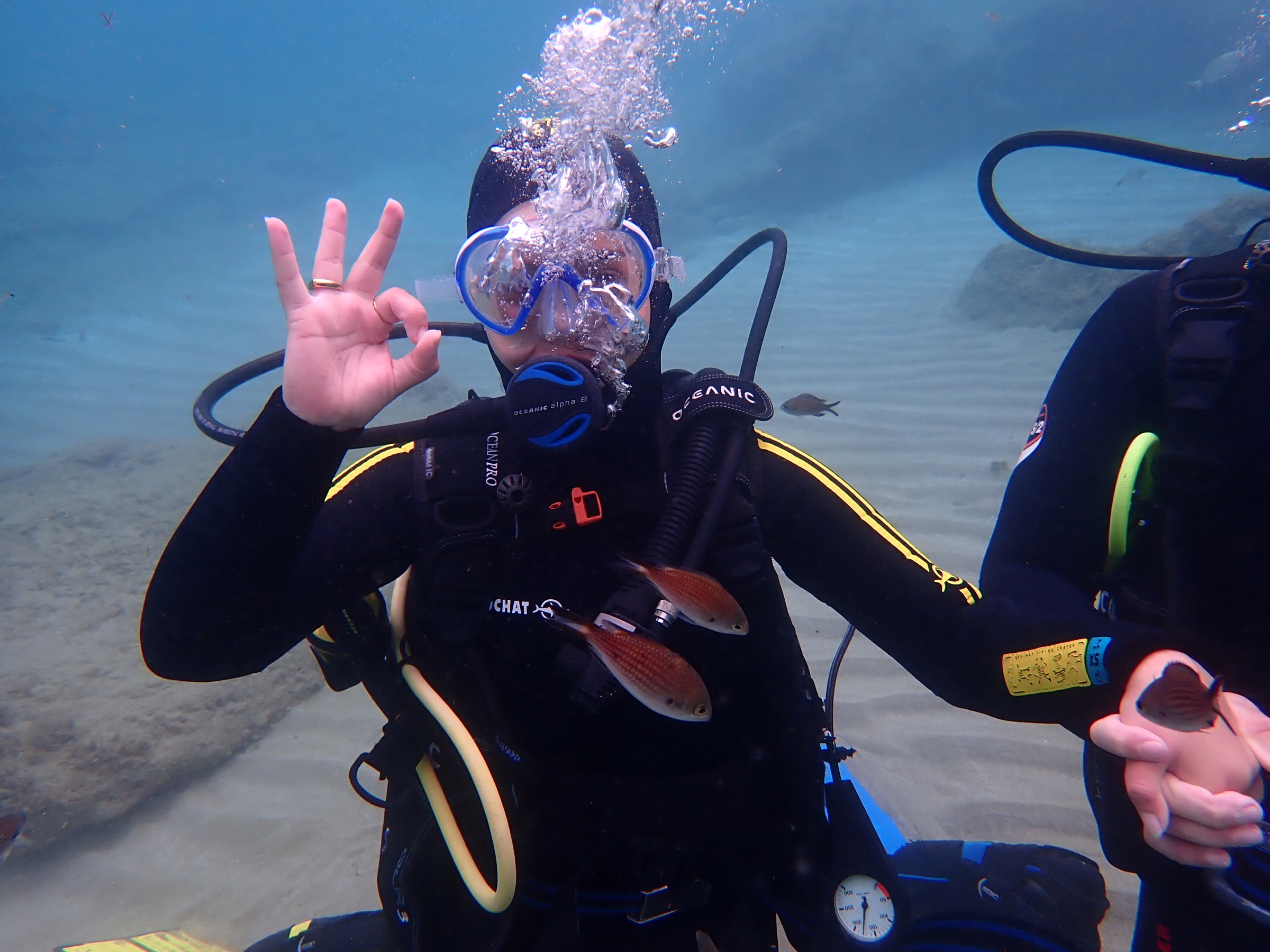 Δοκιμαστική αυτόνομη κατάδυση για αρχάριους – Try Scuba