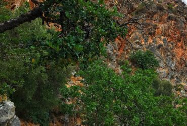 Jeep Road Trip – PARADISE OF EASTERN CRETE