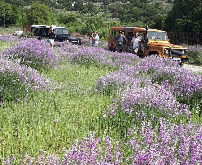 Jeep Road Trip – Sarakina Gorge Tour