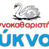 Στεγνοκαθαριστήρια – Κύκνος