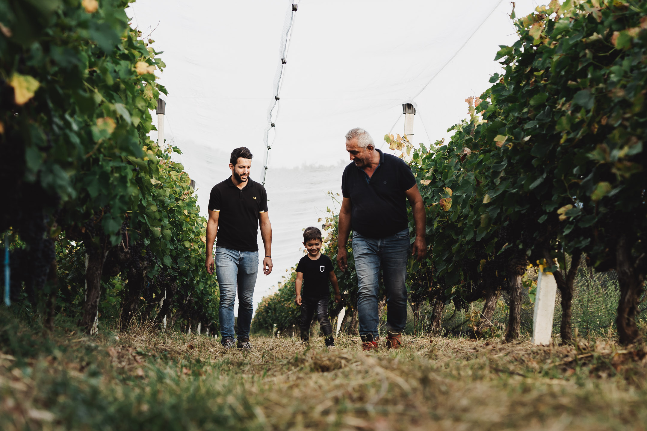 Passas Winery & Distillery – Vineyard, Winery & Tsipouro Experience