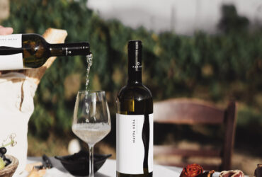 Passas Winery & Distillery – Vineyard, Winery & Tsipouro Experience