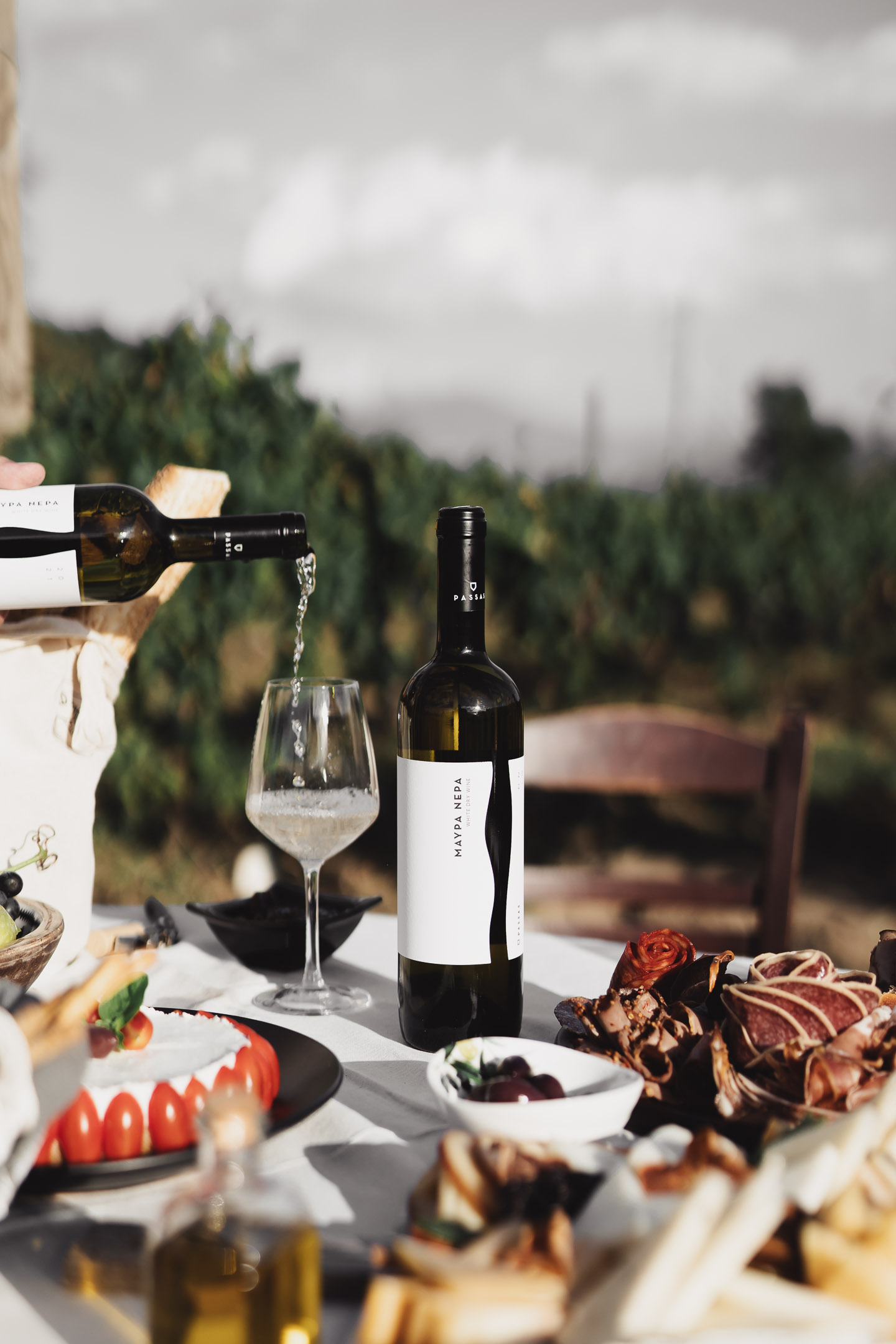 Passas Winery & Distillery – Wine & Tsipouro Tasting Experience