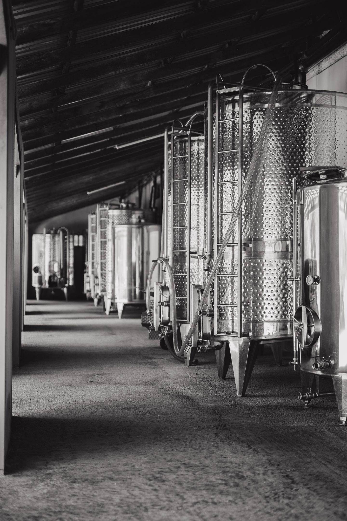 Passas Winery & Distillery – Wine & Tsipouro Tasting Experience