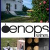 Oenops Wines – Γευτείτε το κρασί μας