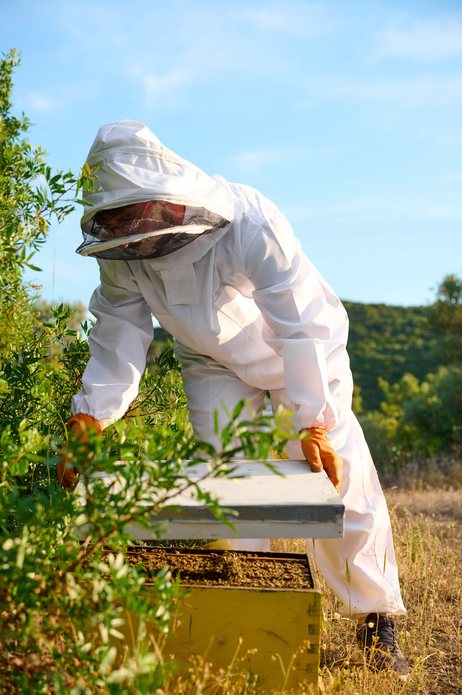 Assa Honey – Εξαιρετικό Ελληνικό Μέλι Άσσα