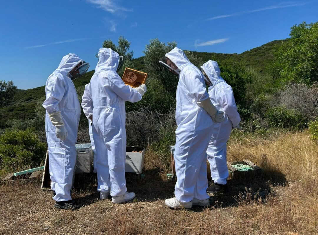 Assa Honey – Γίνε μελισσοκόμος για μια μέρα