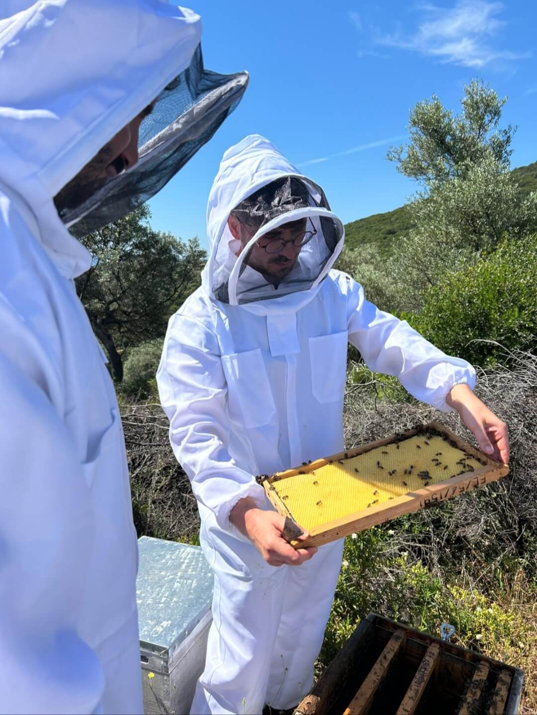 Assa Honey – Γίνε μελισσοκόμος για μια μέρα